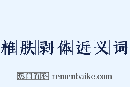 椎肤剥体近义词是什么意思的图片